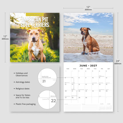 Red Robin American Pit Bull Terrier Kalender 2027