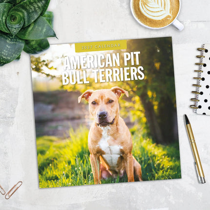 Red Robin American Pit Bull Terrier Kalender 2027