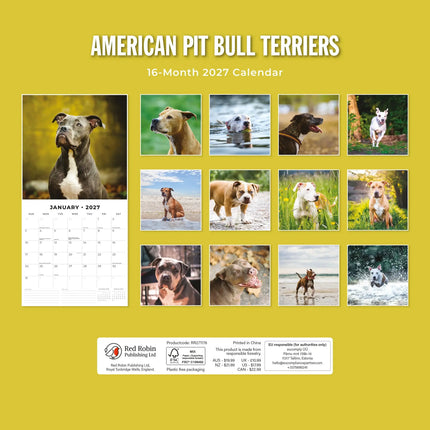 Red Robin American Pit Bull Terrier Kalender 2027