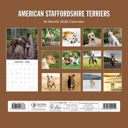 Red Robin American Staffordshire Terrier Kalender 2026