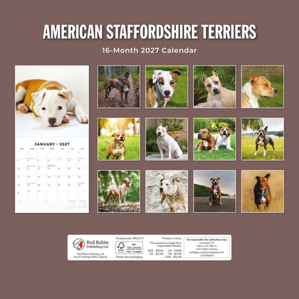 Red Robin American Staffordshire Terrier Kalender 2027