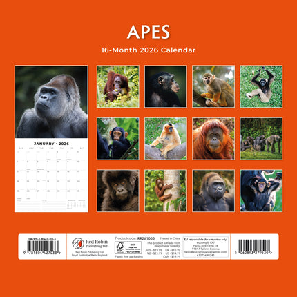 Red Robin Apen Kalender 2026
