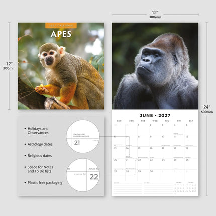 Red Robin Apen Kalender 2027