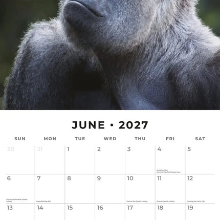 Red Robin Apen Kalender 2027