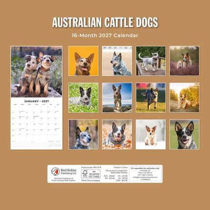 Red Robin Australian Cattle Dog Kalender 2027