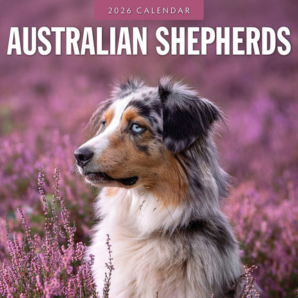 Red Robin Australian Shepherd Kalender 2026