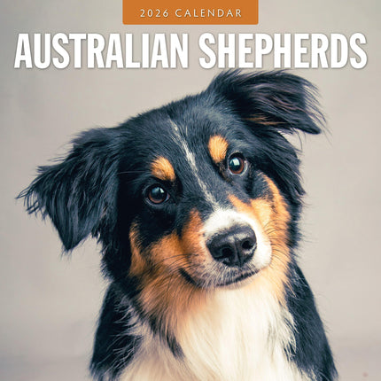 Red Robin Australian Shepherd Kalender 2026