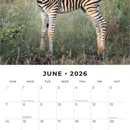 Red Robin Baby Animals Kalender 2026