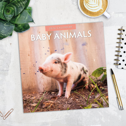 Red Robin Baby Animals Kalender 2026