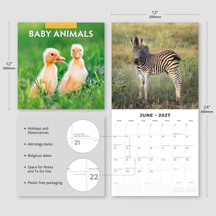 Red Robin Baby Animals Kalender 2027