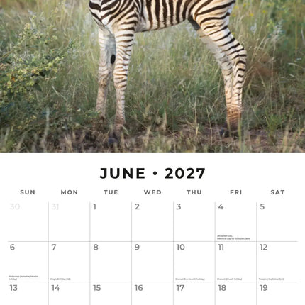 Red Robin Baby Animals Kalender 2027