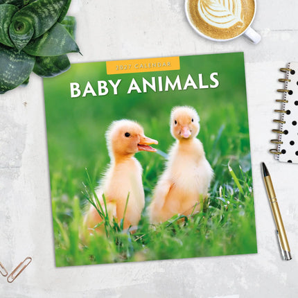 Red Robin Baby Animals Kalender 2027