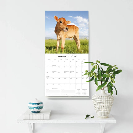 Red Robin Baby Animals Kalender 2027