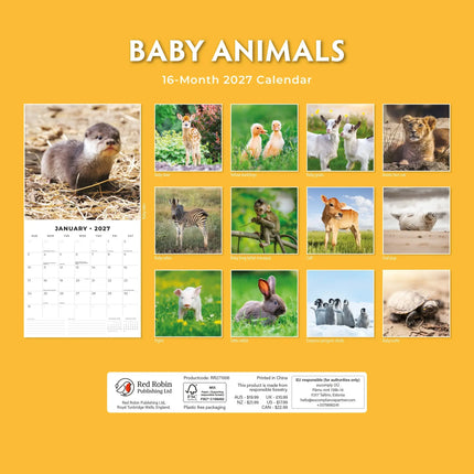 Red Robin Baby Animals Kalender 2027