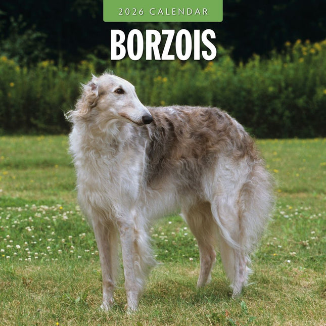 Red Robin Barzoi Kalender 2026
