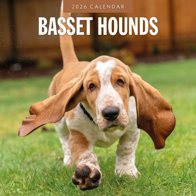 Red Robin Basset Hound Kalender 2026