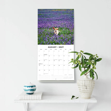 Red Robin Basset Hound Kalender 2027