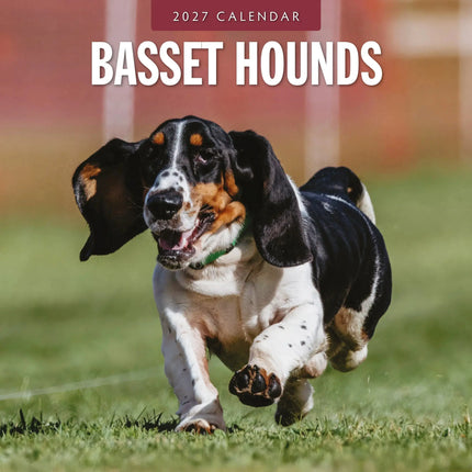 Red Robin Basset Hound Kalender 2027