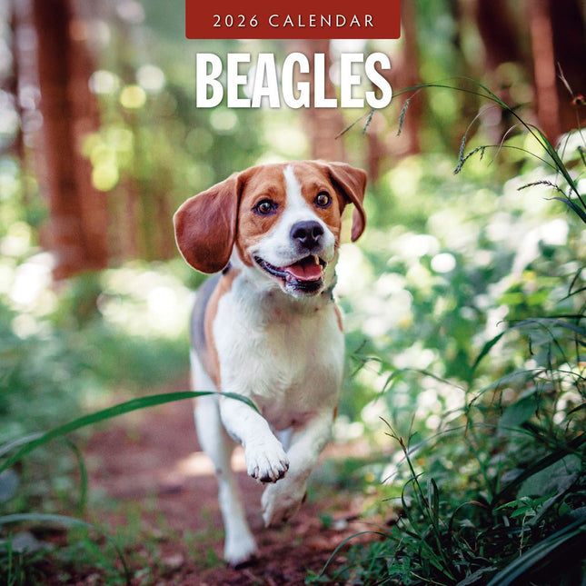 Red Robin Beagle Kalender 2026