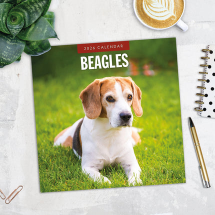 Red Robin Beagle Kalender 2026