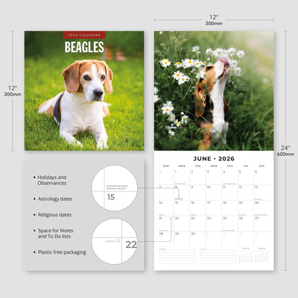 Red Robin Beagle Kalender 2026