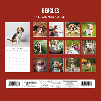 Red Robin Beagle Kalender 2026