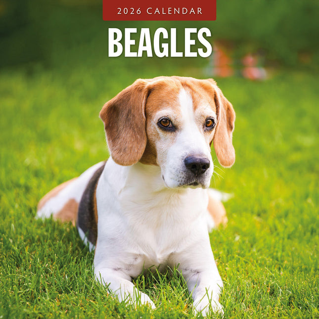 Red Robin Beagle Kalender 2026