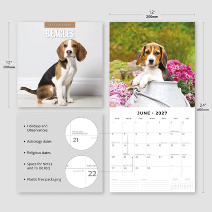 Red Robin Beagle Kalender 2027