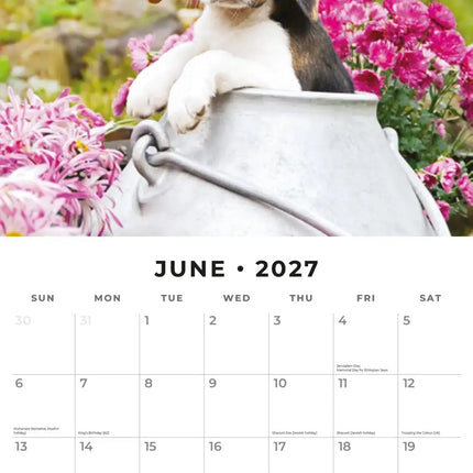 Red Robin Beagle Kalender 2027