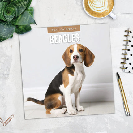 Red Robin Beagle Kalender 2027