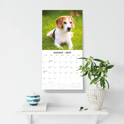 Red Robin Beagle Kalender 2027