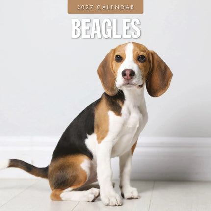 Red Robin Beagle Kalender 2027