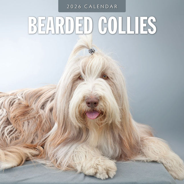 Red Robin Bearded Collie Kalender 2026