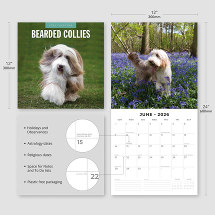 Red Robin Bearded Collie Kalender 2026