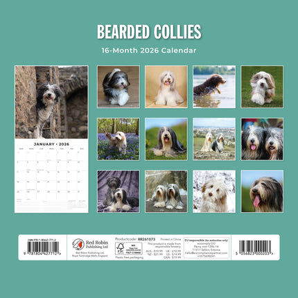 Red Robin Bearded Collie Kalender 2026