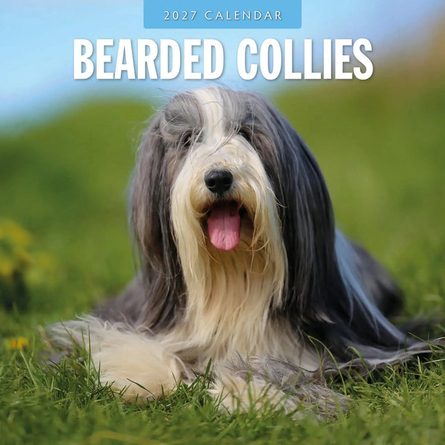 Red Robin Bearded Collie Kalender 2027