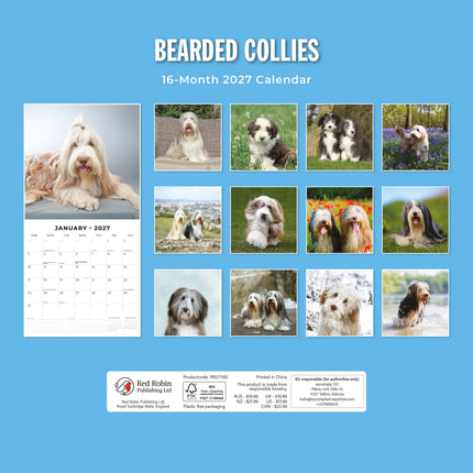Red Robin Bearded Collie Kalender 2027
