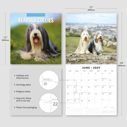 Red Robin Bearded Collie Kalender 2027