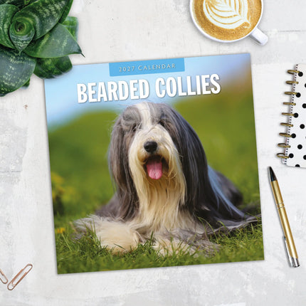 Red Robin Bearded Collie Kalender 2027