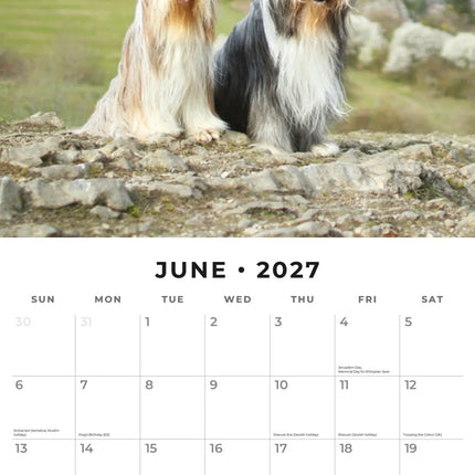 Red Robin Bearded Collie Kalender 2027