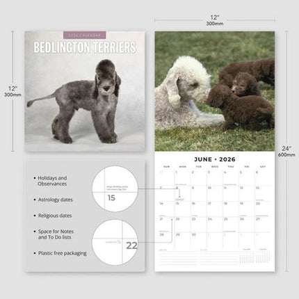 Red Robin Bedlington Terrier Kalender 2026