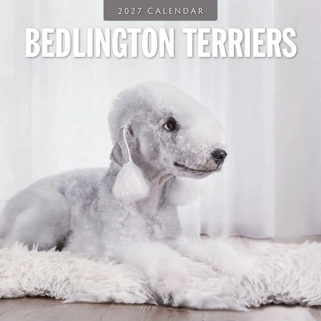 Red Robin Bedlington Terrier Kalender 2027