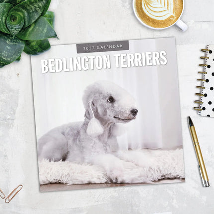 Red Robin Bedlington Terrier Kalender 2027