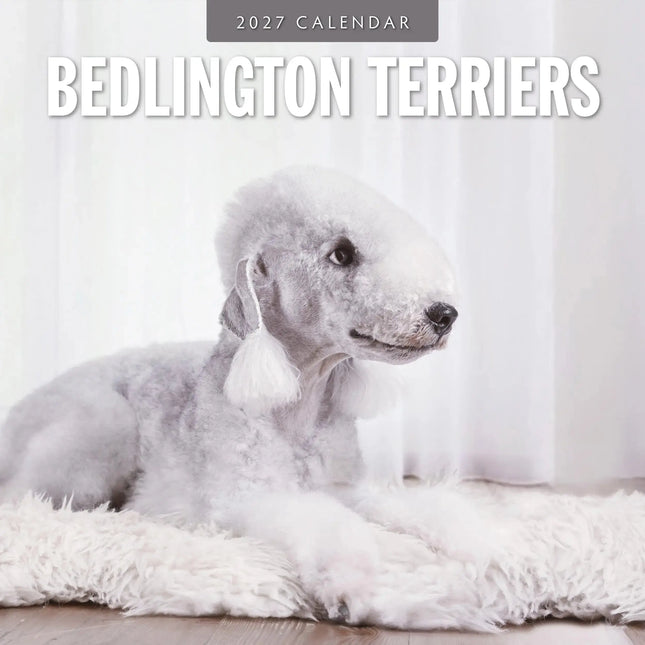 Red Robin Bedlington Terrier Kalender 2027