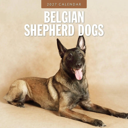 Red Robin Belgische Herder Kalender 2027