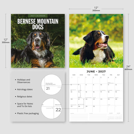 Red Robin Berner Sennen Kalender 2027