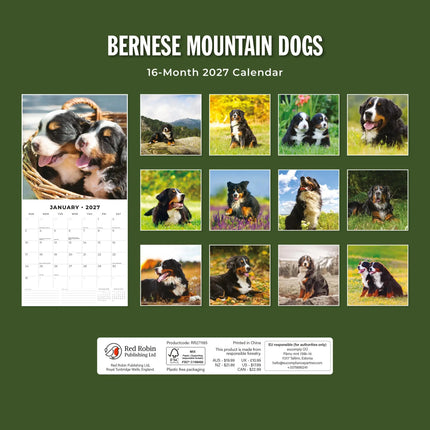 Red Robin Berner Sennen Kalender 2027