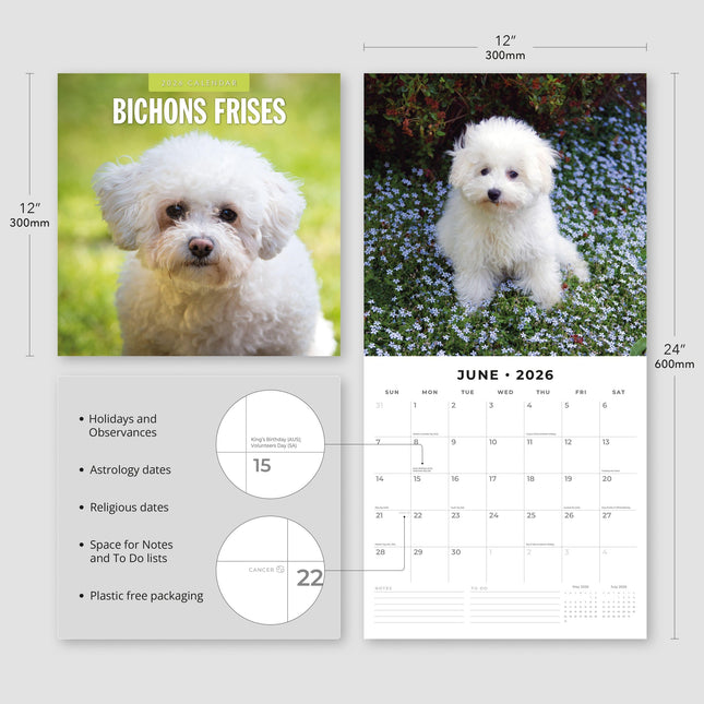 Red Robin Bichon Frise Kalender 2026