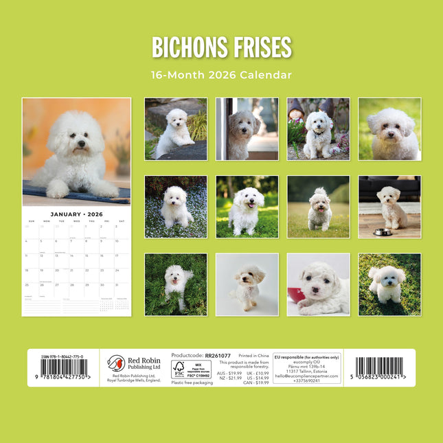 Red Robin Bichon Frise Kalender 2026