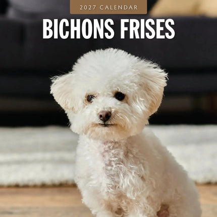 Red Robin Bichon Frise Kalender 2027